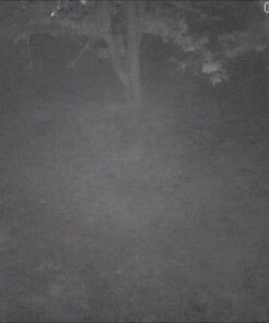 Zmodo Outdoor Security Cameras Wifi - 1080p Full HD Surveillance Cameras for Home Security with Night Vision, IP 66 Weatherproof, Plug-In, Motion Detection, 4 Pack 4 Count (Pack of 4) 53 41 HYgcfw2L