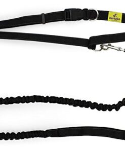 Hands Free Dog Leash by Hertzko – Great Running Leash for m=Medium to Large Dogs - Strong, Durable and Weather Resistant Nylon Bungee Leash (36 inches Bungee) Standard- 36 inch Bungee 10 41069gPlDL