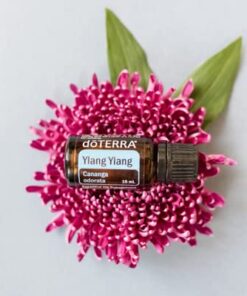 doTERRA Ylang Ylang Essential Oil - 15 ml Sweet, rich, spicy 0.51 Fl Oz (Pack of 1) 14 4109OUZlDDL
