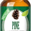 Healing Solutions 60ml Oils - Pine Essential Oil - 2 Fluid Ounces 43 410LDWPq7rL