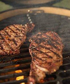 Dracarys 18" Cast Iron Cooking Grate Grids Round Accessories for Large Big Green Egg,Kamado Joe Classic Vision Grill VGKSS-CC2,B-11N1A1-Y2A Any 18" Grill 18 inch 12 410Okg85oCL