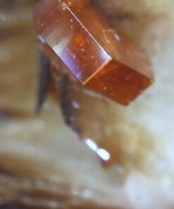 Jiusion Original USB Microscope Carrying Case Bag for Jiuison WiFi & USB Digital Microscope, Also Compatible with Other Brands Handheld Microscope For Generic Microscope 28 410SWFoFJDL 4