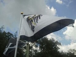 3x5 Kingdom of Prussia Flag Germany Banner Prussian German Pennant New 8 410TkCvzQyL