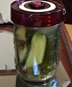 Fermenting Lids for wide mouth mason jars. 4 waterless airlock fermentation lids kit. Easy Grip fermenter lid with Oxygen Pump automatically Vents air. Tracks ferment date. (4 Lids + Pump) 34 410nRTdpnHL