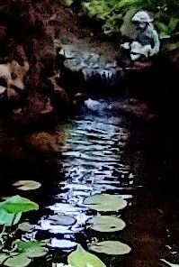 VIVOSUN 4500 GPH Submersible Water Pump, 220W Pond Pump, Ultra Quiet Aquarium Pump with 19FT. Lift Height for Pond Waterfall, Fish Tank, Statuary, or Hydroponics 23 412EyrQdTzL