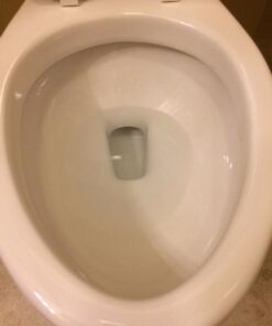 American Standard 2886218.020 H2Option Two-Piece Toilet, Elongated Front, Chair Height, Dual Flush, White, 0.92 - 1.28 gpf Tank + Bowl 32 412SgnlpDNL