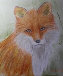 Derwent Colored Drawing Pencils, Metal Tin, 24 Count (0700672) 24 Count (Pack of 1) 39 412YOiCMbL