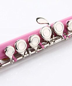 Glory Closed Hole C Flute With Case, Tuning Rod and Cloth,Joint Grease and Gloves, Light pink 14 413FLciGJPL