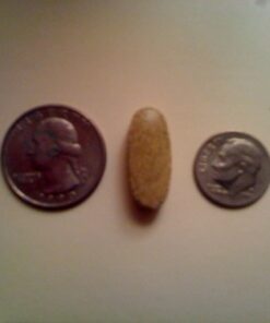 Rainbow Light Womens One High-Potency Daily Multivitamin, Womens Multivitamin Provides High-Potency Immune Support, With Vitamin C, Biotin and Ashwagandha, Vegetarian, 150 Count Women's One 150 Count (Pack of 1) 54 413IbXPAEqL