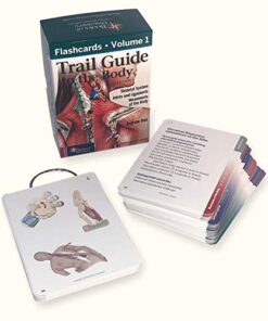 Trail Guide to the Body Flashcards, Vol 2: Muscles of the Body Cards 10 413JYPtxyTL