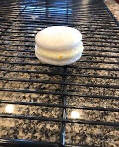 Judee’s Dried Egg White Protein Powder 8 oz - Pasteurized, USDA Certified, 100% Non-GMO - Gluten-Free and Nut-Free - Just One Ingredient - Made in USA - Use in Baking - Make Whipped Egg Whites 8 Ounce (Pack of 1) 32 413ZKHu7yHL