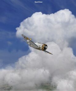 Alternative view of Combat Flight Simulator 3: Battle for Europe