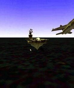 Alternative view of Fleet Command