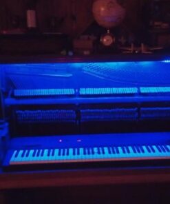 Casio Privia PX-160BK 88-Key Full Size Digital Piano with Power Supply, Black 37 414QeQfaO9L