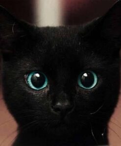 Gerber Unisex Baby Boys Girls Birdseye Flatfold Cloth Diapers Multipack White 10 Pack 10 Count (Pack of 1) 43 415BDq8GefL