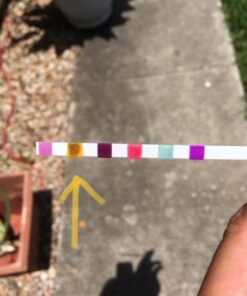 AquaChek 7-Way Pool and Spa Test Strips - Silver Pool Test Strips For pH, Total Chlorine, Free Chlorine, Bromine, Alkalinity, Total Hardness, and Cyanuric Acid - Water Quality Testing Kit (100 Strips) 1-Pack test strip 38 415F8FJY4kL