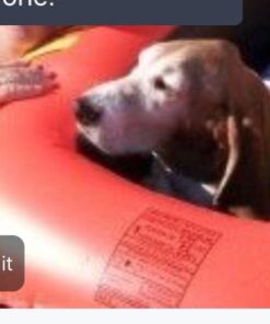 INTEX Explorer Inflatable Boat Series: Dual Air Chambers – Welded Oar Locks – Grab Handles – Bow Rope – Sporty Design Explorer 100 35 415feeIDXaL