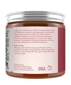Superfruit Smoothie Scrub, 8.8 fl oz by Pure Body Naturals | Antioxidant-Rich Exfoliating Scrub for Smooth, Rejuvenated Skin 8.8 Fl Oz (Pack of 1) 11 415hIO1Eg L