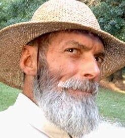 Starwest Botanicals Organic Milk Thistle Seed Powder, 1 Pound 15 416Y9xIdwxL