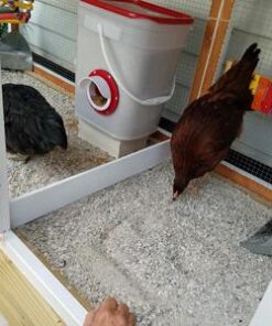 RentACoop 20lb BPA-Free Chicken Feeder with Large Ports - Includes Lid, Anti-Roost Cone, Ports, Rain Hoods - Suitable for Chickens - Corner Placement 26 417TJsfaiTL