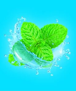 Amazon Basic Care Sugar Free Menthol Cough Drops, 140 count (Previously SoundHealth) 140 Count (Pack of 1) 8 417zw7X1W6S