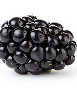 Mrs. Miller's HUGE 18 oz Seedless Black Raspberry Jam, Amish and Homemade! 14 418AzAiF6iL