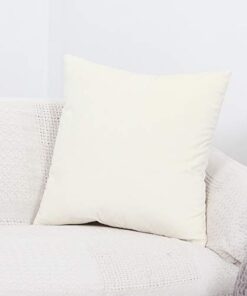heartybay 2 Pack Throw Pillow Covers Set 18 x 18 Inch Velvet Soft Soild Decorative Square Cushion Case for Sofa Couch Décor Bedroom Car 45 x 45 cm Pure White 2 pieces, 18‘’x18‘’ Velvet Pure White
