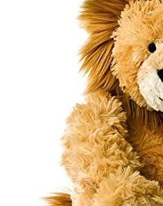 Aurora® Snuggly Tubbie Wubbies™ Lion Stuffed Animal - Comforting Companion - Imaginative Play - Brown 12 Inches 22 418ZQUIE8tS