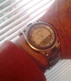 Casio Men's AW80-1AV Forester Ana-Digi Databank 10-Year Battery Watch Silver 20 418aDqszerL