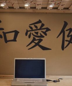 Asian Décor Vinyl Wall Art Big Japanese Kanji Lettering: Peace, Love, Health Wall Decal Sticker - Black. #244A. Easy to Apply & Removable. 18 418lxNFynoL