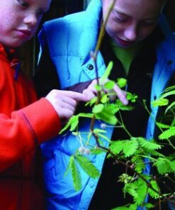 TickleMe Plant Seed Packets (3) and Free Complete Care Book - Grow The Only Plant That Closes Its Leaves When You Tickle It | Adult TickleMePlant can Also Produce Pink Cotton Flowers | 9 418mc CkRL