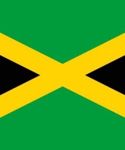 Jamaican Blue Mountain Coffee - 1 Pound - Light Roast 15 419knAYX7dL