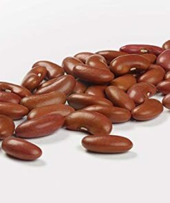 Camellia Red Kidney Beans, 16 Ounce (4 Pack) 3 419lKFjB58L