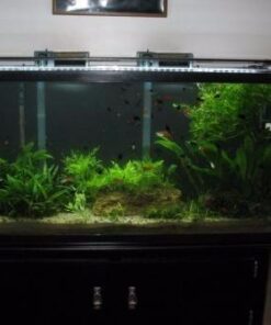 MarineLand Magnum Polishing Internal Canister Filter, For aquariums Up To 97 Gallons, 10.5 IN (ML90770) 47 419vTLu1YUL