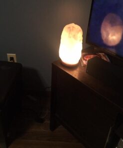 Himalayan Glow SPT-2 Original Replacement Electric Cord with (ETL Certified) Dimmer Switch 19 41Av I28gEL