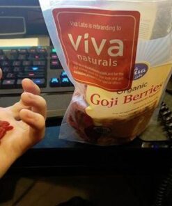 Organic Dried Goji Berries - Non-GMO and Vegan Goji Berries Organic, Perfect for Baking, Teas and Healthy Snacks for Adults (1 lb) 1 Pound (Pack of 1) 32 41BDwMTxZrL