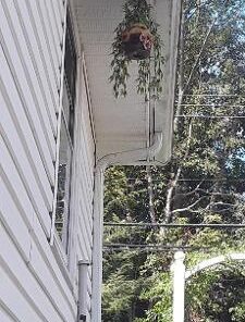 Dawhud Direct Hanging Bird Houses for Outside, Hand-Painted Bird Houses for Outdoors Decorative Birdhouses (Ladybug and Flowers) Ladybug and Flowers 13 41BVmtgcYxL