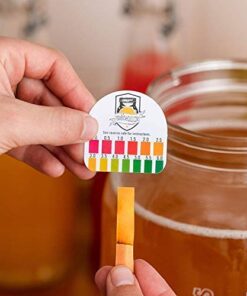 The Complete Jun Kombucha Brewing Starter Kit, Organic - Make Jun Kombucha at home 15 41BlC7b3eYL