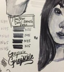 Tombow 56171 Dual Brush Pen Art Markers, Grayscale, 10-Pack. Blendable, Brush and Fine Tip Markers 41 41Bn4FS2YBL