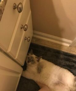 iPrimio Large Cat Litter Trapper Mat with Exclusive Urine/Waterproof Layer - Cat Litter Mat - Larger Holes with Urine Puppy Pad Option for Messy Cats - Soft on Paws and Light - 30" x 23" (Black Color) 30x23 - Black 58 41BwOWVPQjL