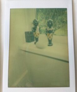 Fujifilm Instax Mini Instant Film (3 Twin Packs, 60 Total Pictures) - International Version 47 41BzNHY7yL