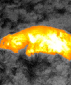 Seek Thermal CompactXR – Outdoor Thermal Imaging Camera for Android MicroUSB, Black (UT-AAA) 46 41Bzg8WIYL 1