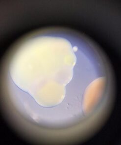 Beileshi 60x Zoom Microscope Magnifier LED + Uv Light Clip-on Micro Lens for Universal Mobile Phones Universal Clamp for iPhone 7s Plus/7s/7/7plus/ 6 6s 6Plus/ 5 Samsun/HTC 33 41CHma5C8JL