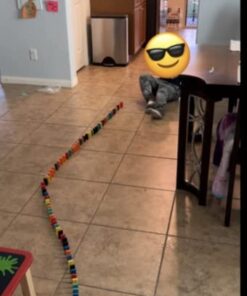 Bulk Dominoes Pro-Domino Kit | Dominoes Set, STEM STEAM Small Toys, Family Games for Kids, Toys, Building, Toppling, Chain Reaction Sets (Starter) Starter 17 41D52Uj19lL