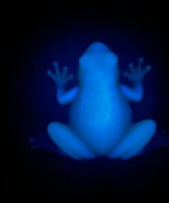 Alternative view of Neon Nights Fluorescent Glow in The Dark Powder, Safe, Long Lasting Non-Toxic Luminous Pigments for Epoxy Resin, Slime, Nails, Acrylic Paint, DIY Crafts, Neon Colored Paint Powder - Blue, 100g/3.5 oz Sky - Blue