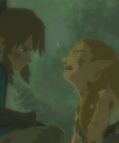 The Legend of Zelda: Breath of the Wild - US Version Nintendo Switch Standard 35 41DDopFmL