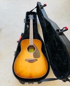 Gator Cases Molded Flight Case For Acoustic Dreadnought Guitars With TSA Approved Locking Latch (GTSA-GTRDREAD) 30 41DNdluu0vL