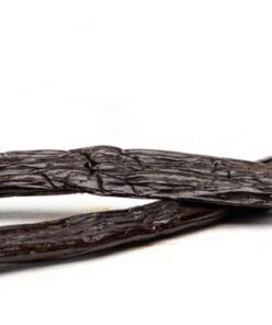 Slofoodgroup - Gourmet Vanilla from Tahiti - Real Tahitian Vanilla Bean Pods - 1 Count - For Cooking, Baking, and Vanilla Extract 12 41E xsfXdIL