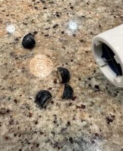 OXO Tot Grape Cutter, Navy 37 41EtWfkQfcL