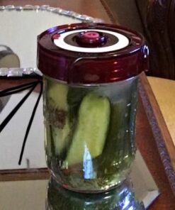 Fermenting Lids for wide mouth mason jars. 4 waterless airlock fermentation lids kit. Easy Grip fermenter lid with Oxygen Pump automatically Vents air. Tracks ferment date. (4 Lids + Pump) 35 41F 36cnCpL